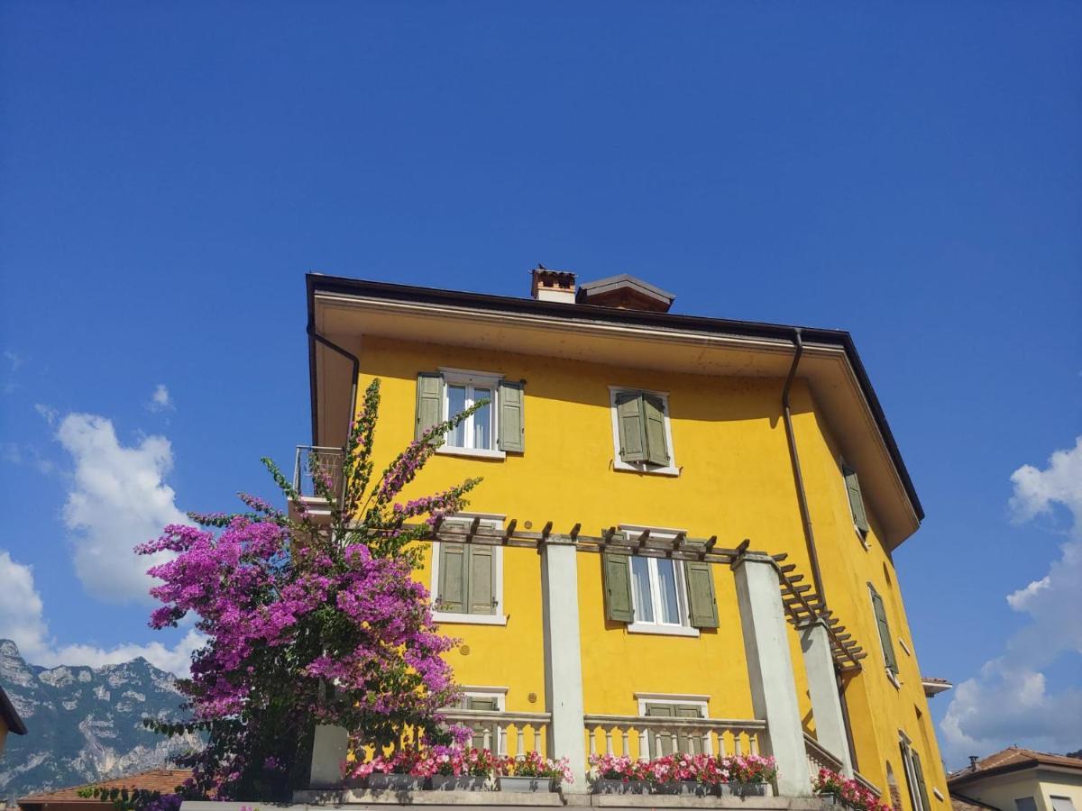 Appartamenti Baia Azzurra 3. 托尔博莱 外观 照片